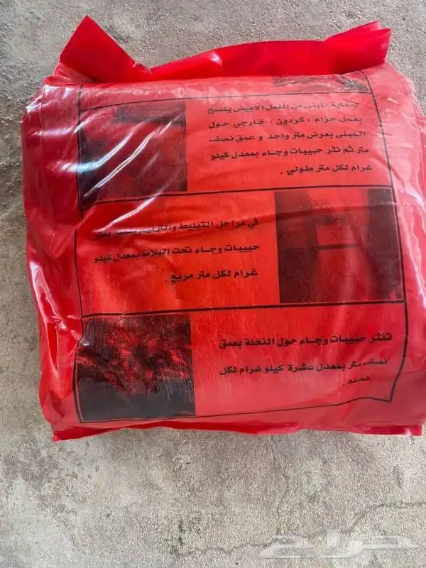 وجاء الاصلي 2