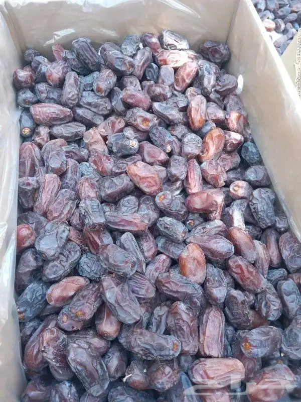 موجود خضري الغاط فاخر طيب 1000كرتون وتساب فقط 0