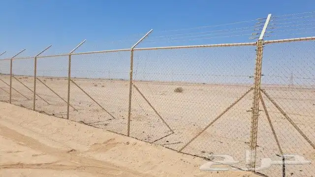 شبوك 1