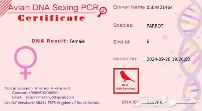 ببغاء كاسكو 4