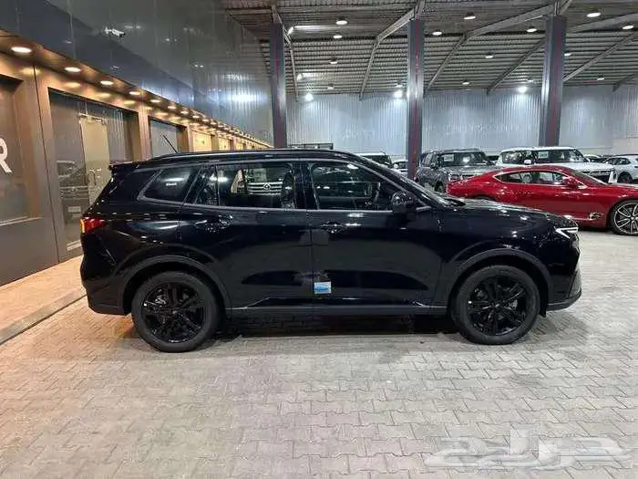 فورد تيريتوري دارك ايشن_2025 3