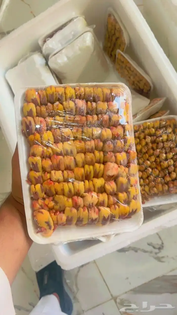 يوجد طيور الدخل و طيور صفار شحم 1