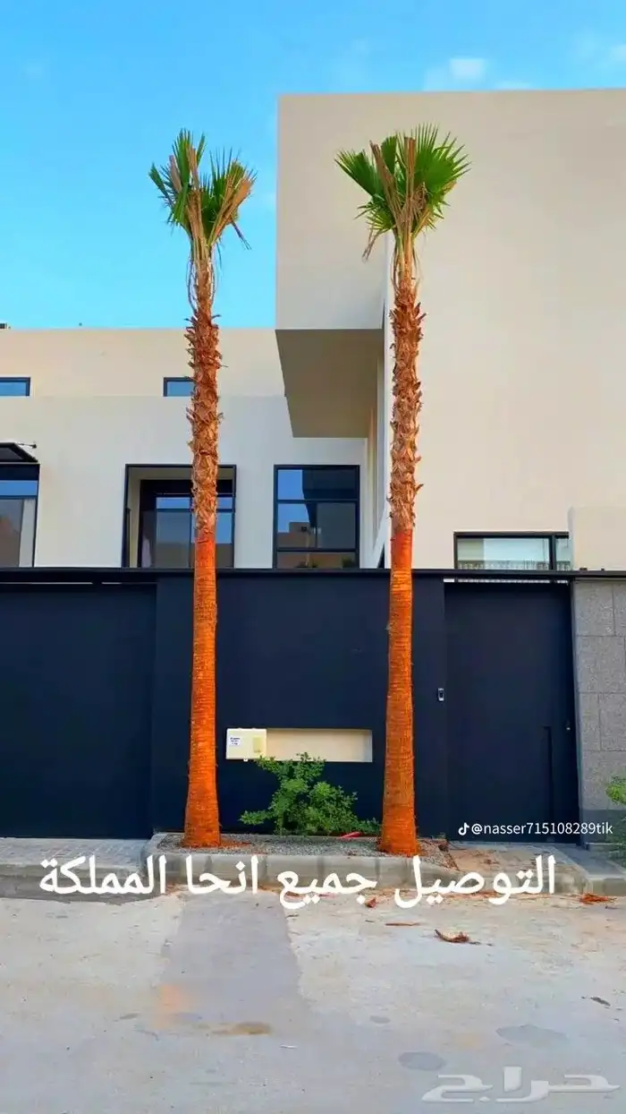 ابوراشد للنخيل العربي والنخيل الزينه الواشنط 2