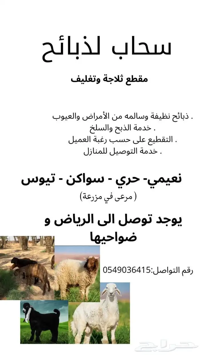 ذبائح نعيم فاخرة 4