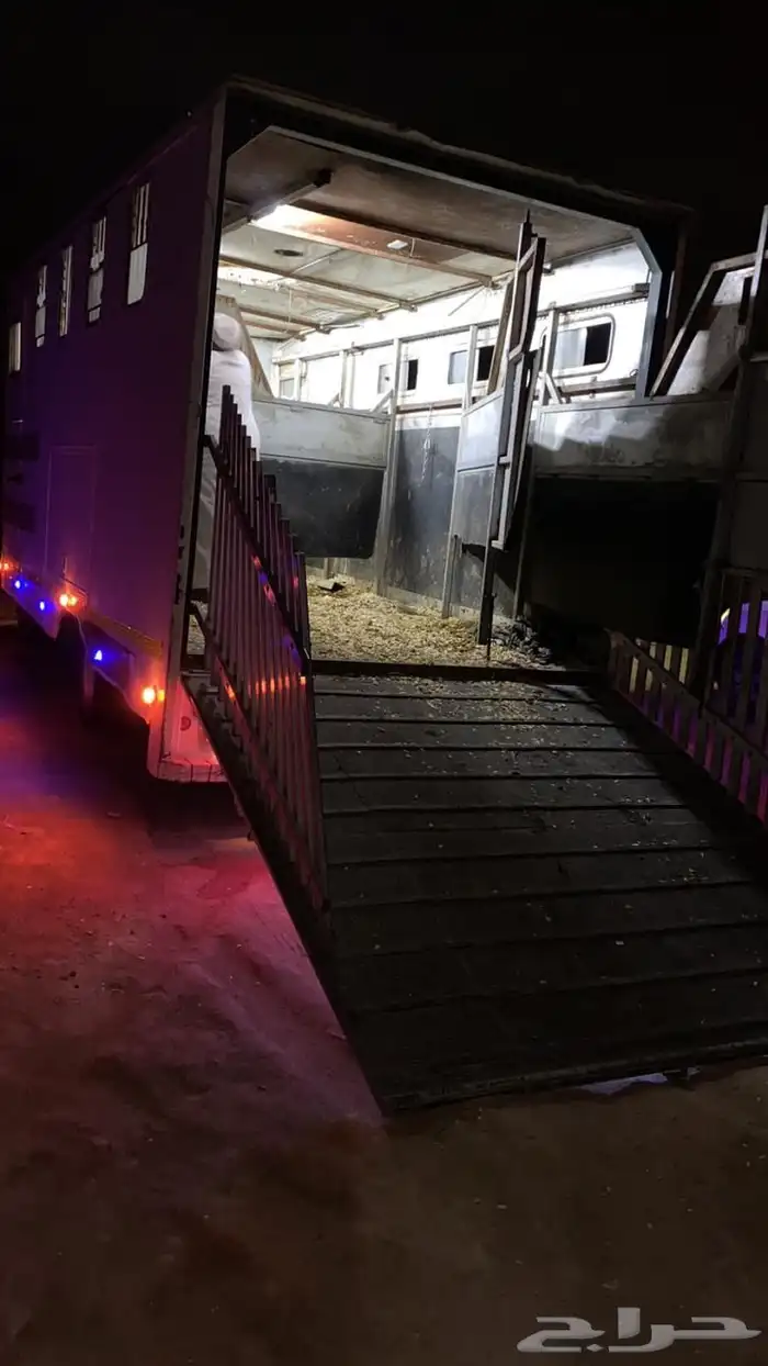 عربة نقل خيل 6 رووس 2