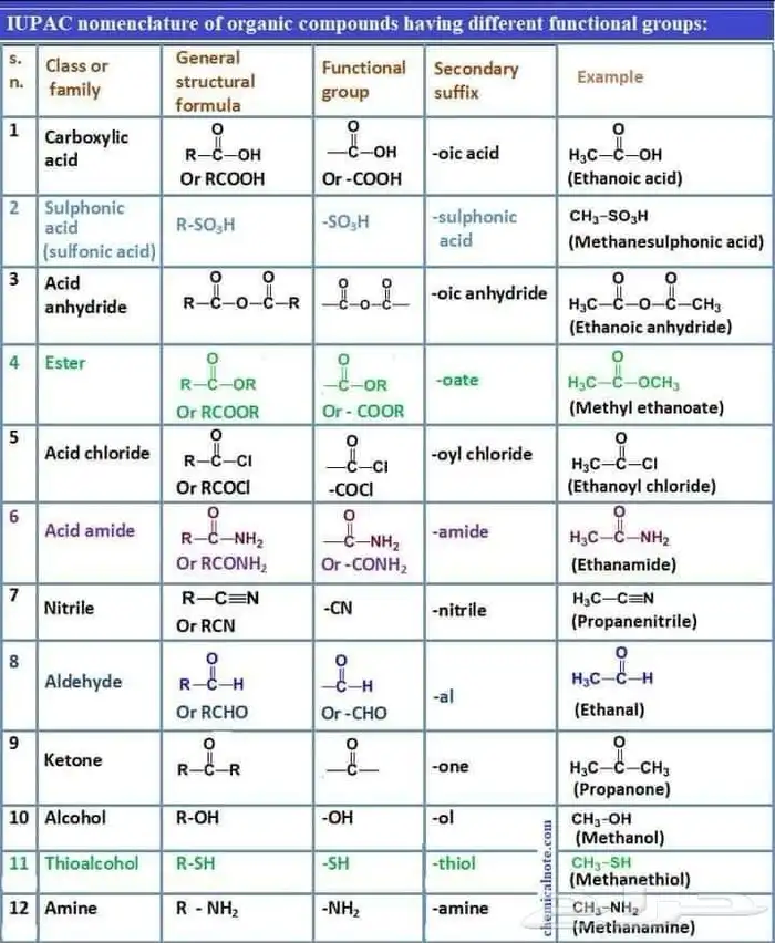 مدرسة أردنية لطلاب الكليات الصحية 0
