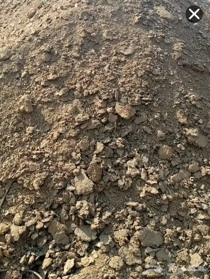يوجد سماد دجاج لاحم ممتاز لجميع الزراعه 1