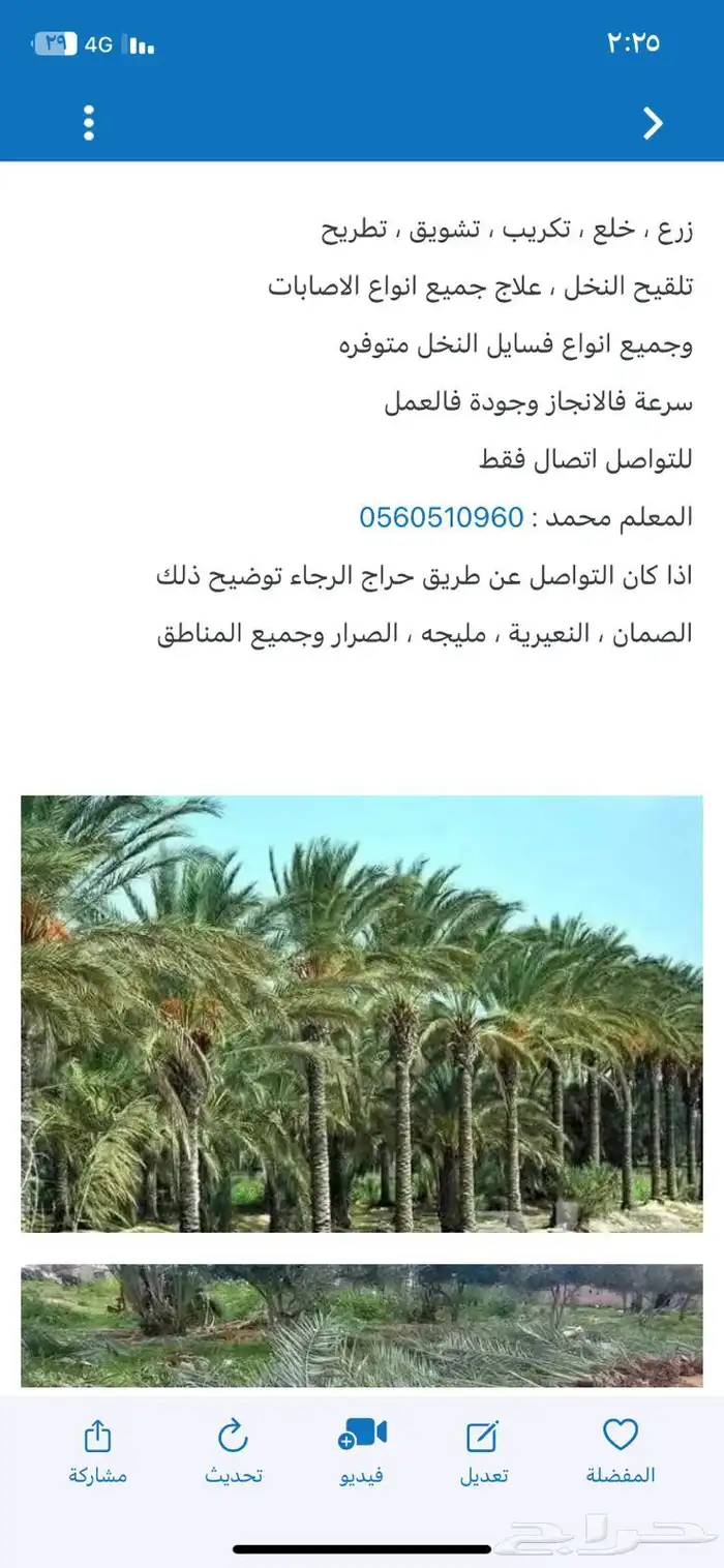 زراعه وتكريب نخل كما يوجد لدينا جميع انواع الفسايل 0