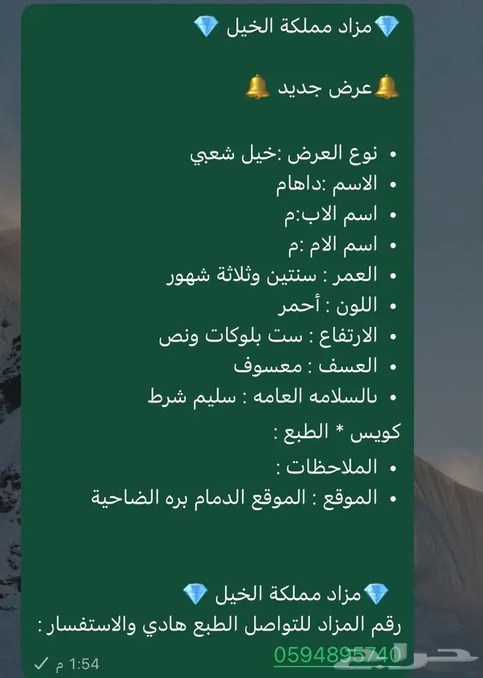 خيل 1