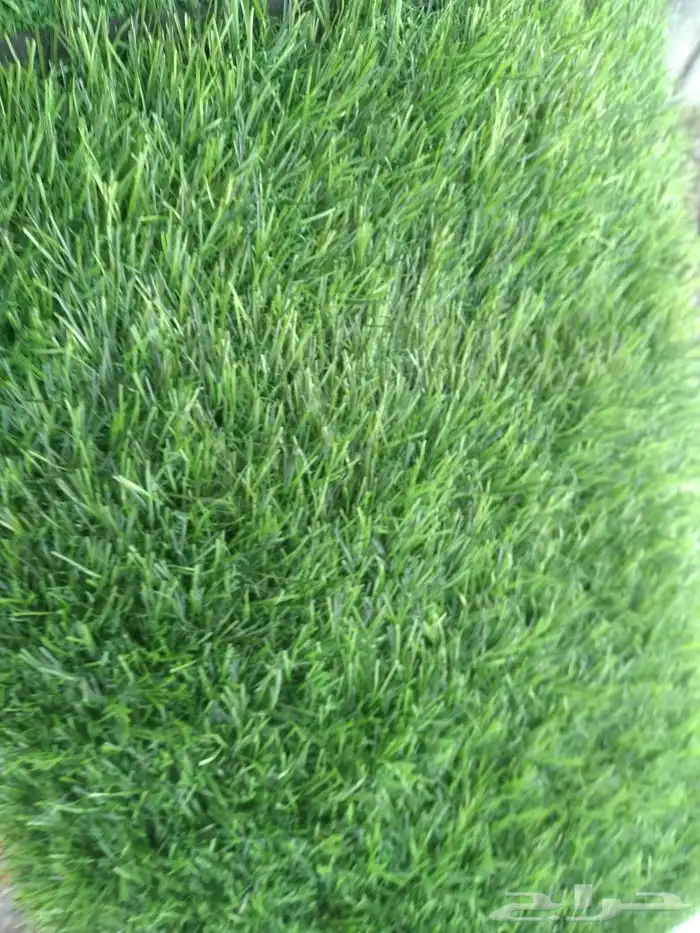 ثيل صناعي عشب ملاعب تيل 1