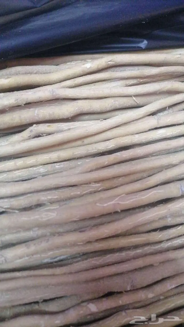 مساويك طازج وحار 1