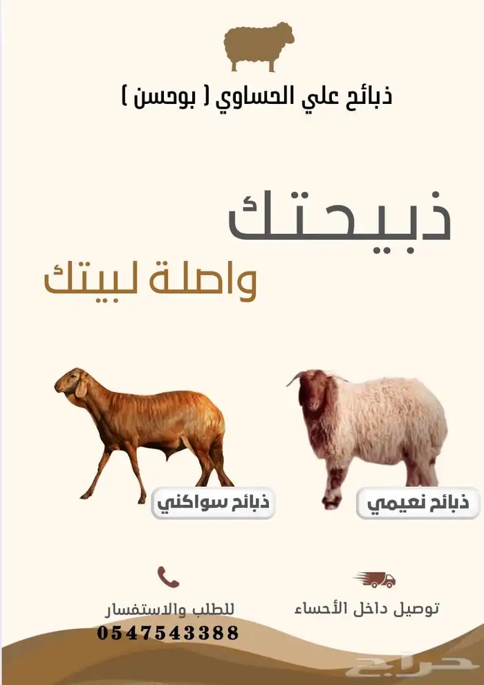 الاسعار في متناول الجميع والمناسبات والعدد مفتوح 0
