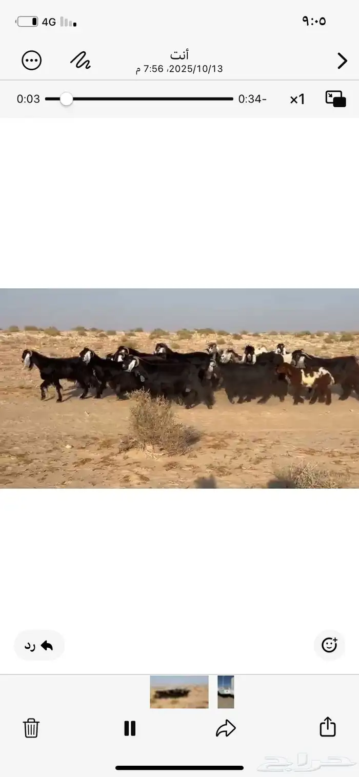 معزا عوارض 1