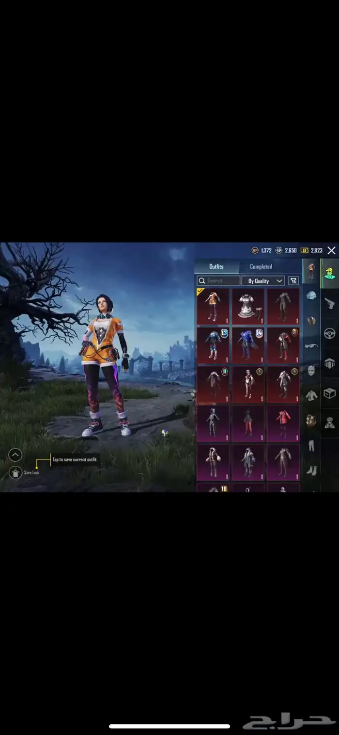 حساب ببجي للبيع 0