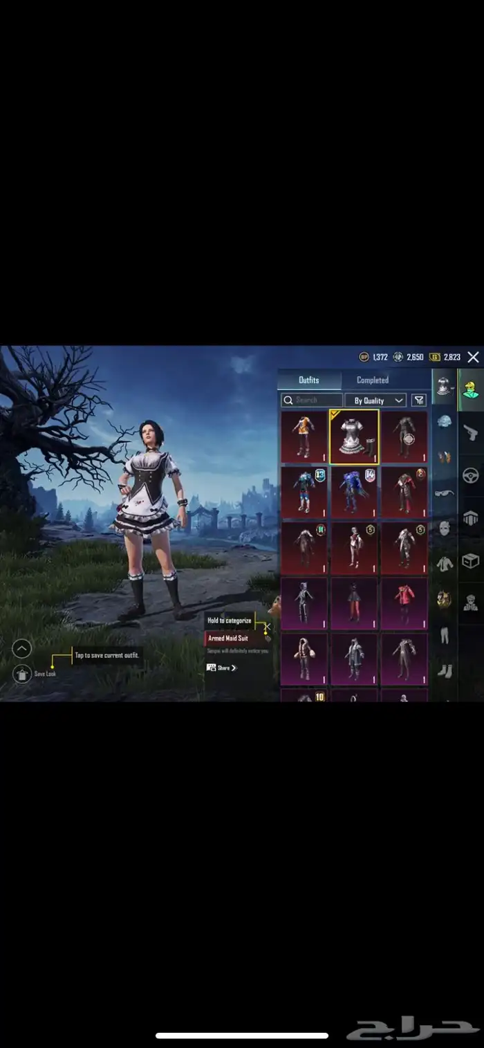 حساب ببجي للبيع 2