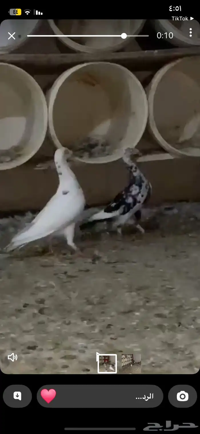 حمام يهودي 1