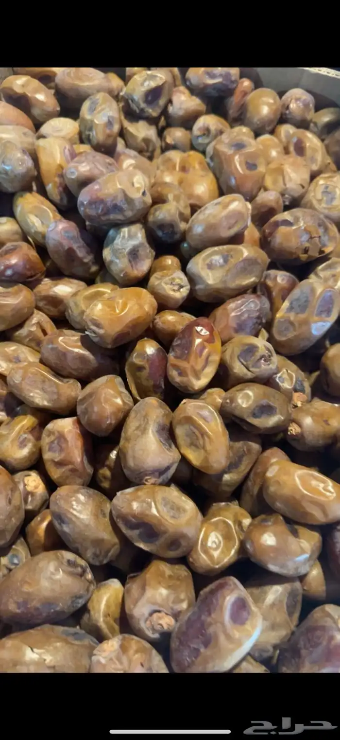 تمر فنخاء كراتين موز عدد 600 او اكثر 2