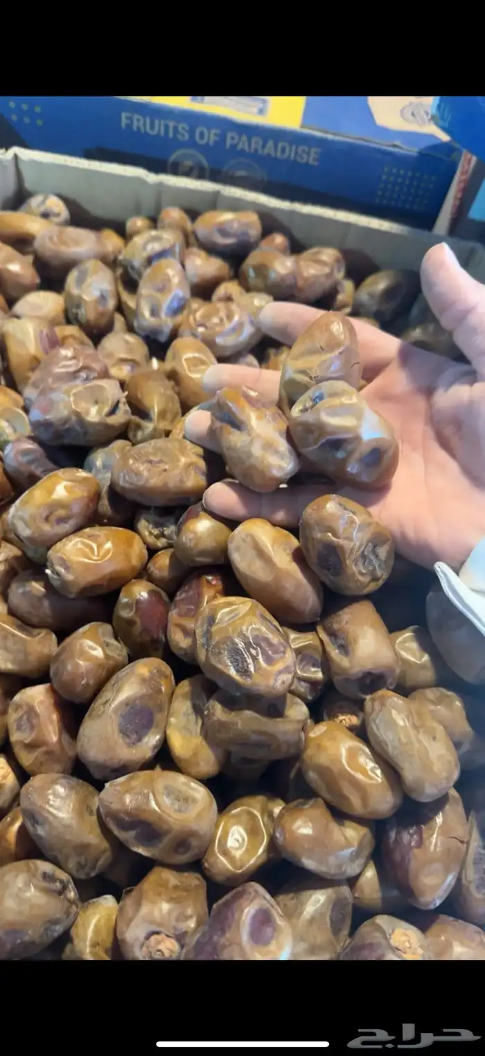 تمر فنخاء كراتين موز عدد 600 او اكثر 1