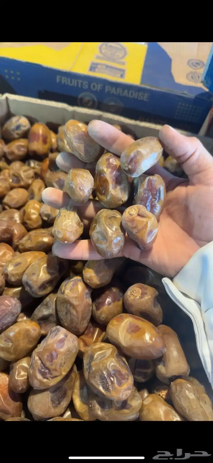 تمر فنخاء كراتين موز عدد 600 او اكثر 0