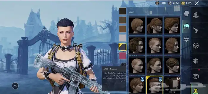 حساب ببجي للبيع 15