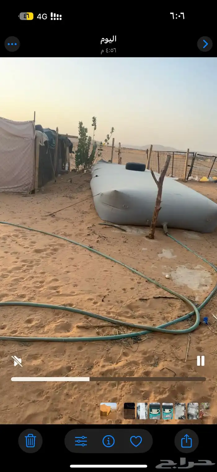 شبوك غنم ومطاره ومعالف 0
