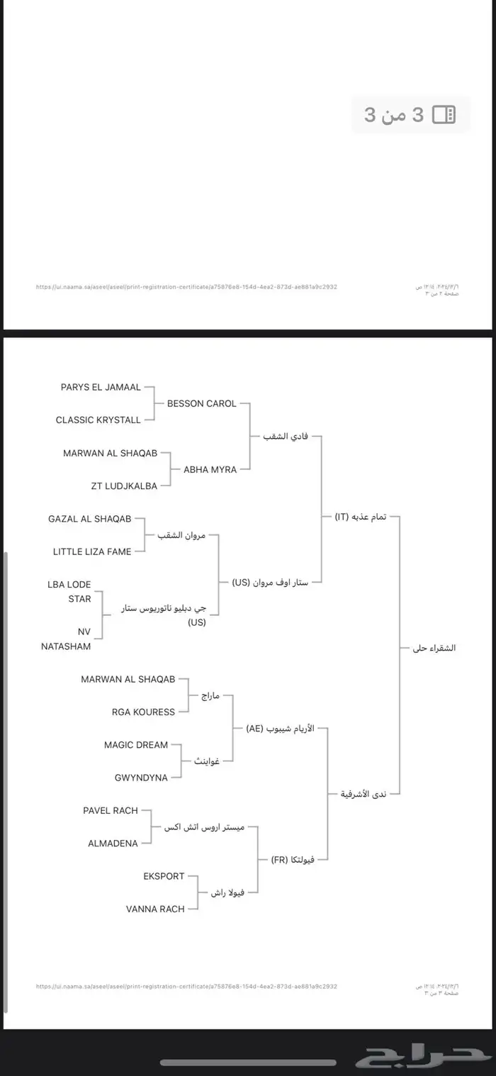 فرس بطلة بنت ابطال 5