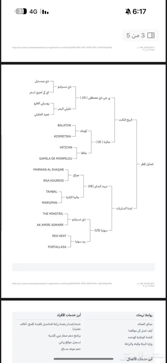 فرس واهو بطنها نظيف منتجه 2