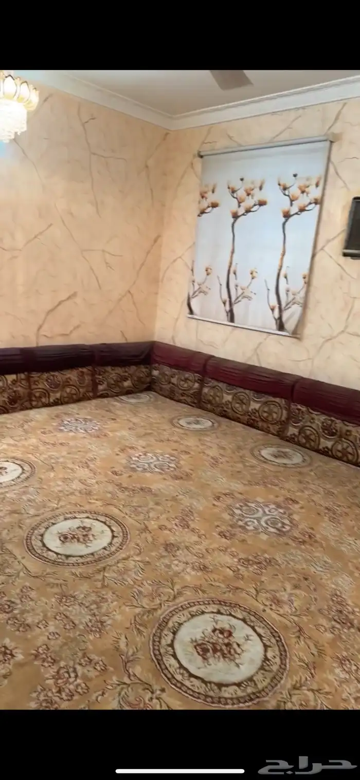 دولاب مطبخ  كرسي نوم نفر   سنادات ظهر 1