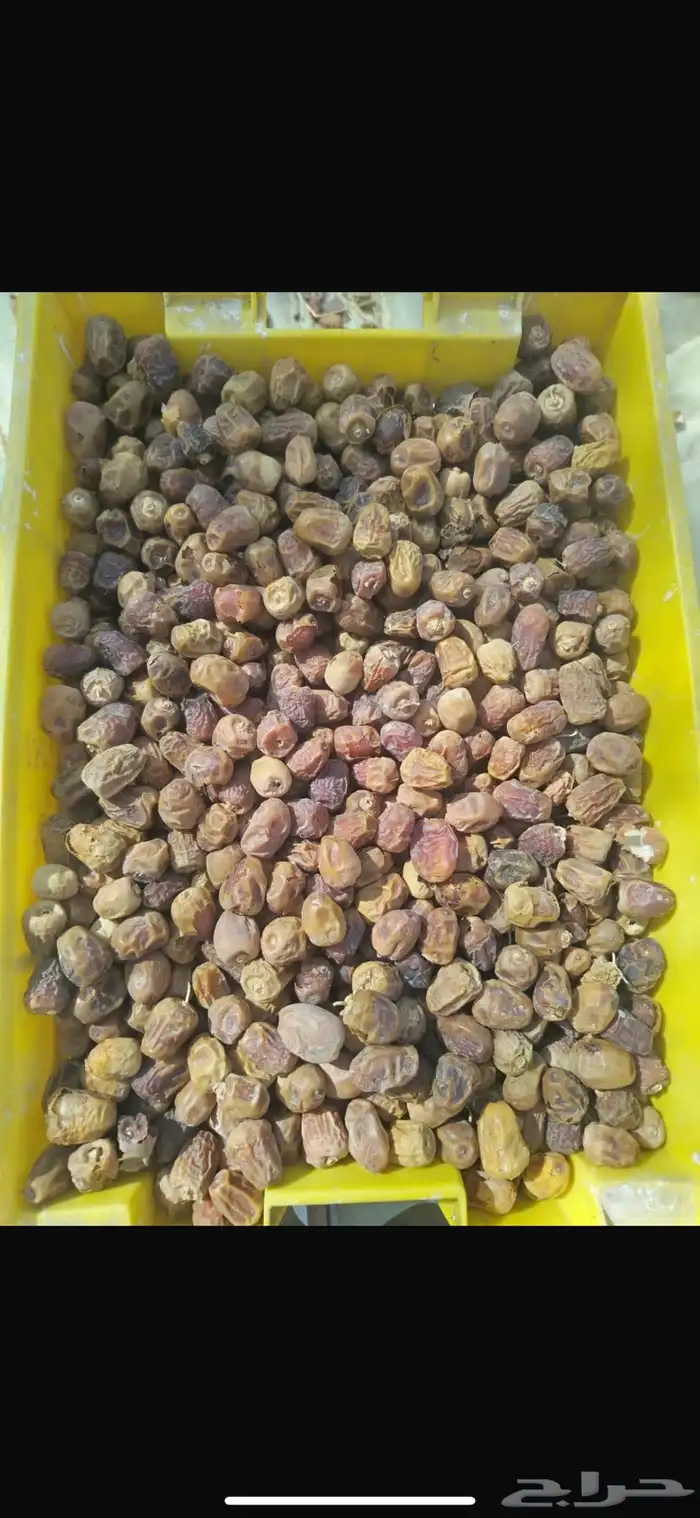 يوجد لدي تمر سكري و شقرا و روثانه ينفع للكنز وغيره 0