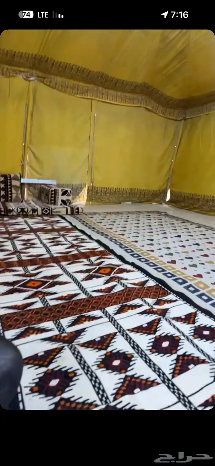 شراع 5في 8 نوعه أظن أنه باكستاني 1