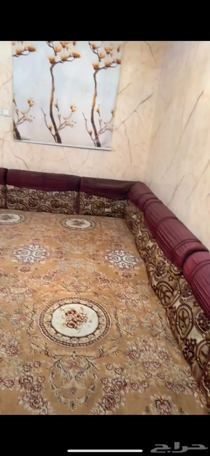 دولاب مطبخ  كرسي نوم نفر   سنادات ظهر 2