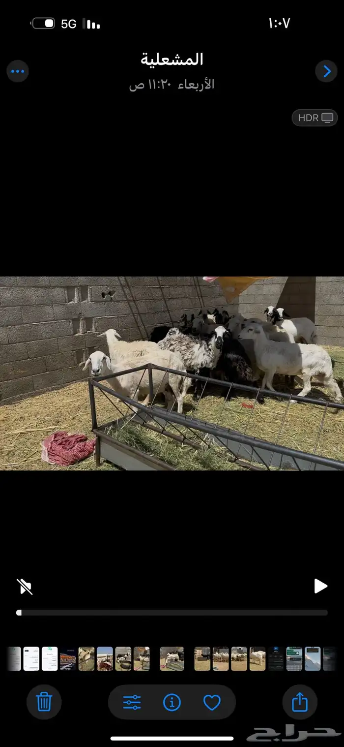 ضان دفيع 1
