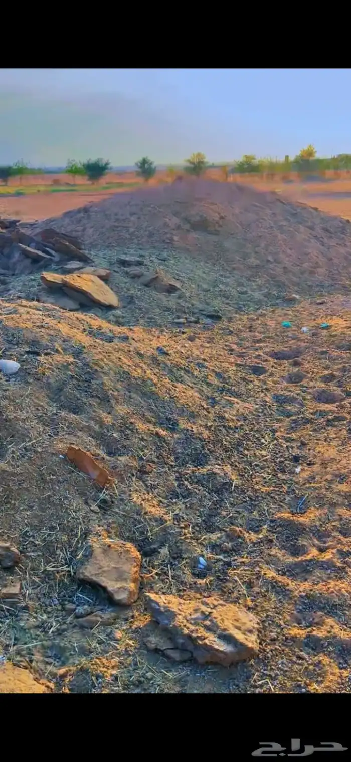 في الجله سماد غنم مخلوط بدجاج معتق 5