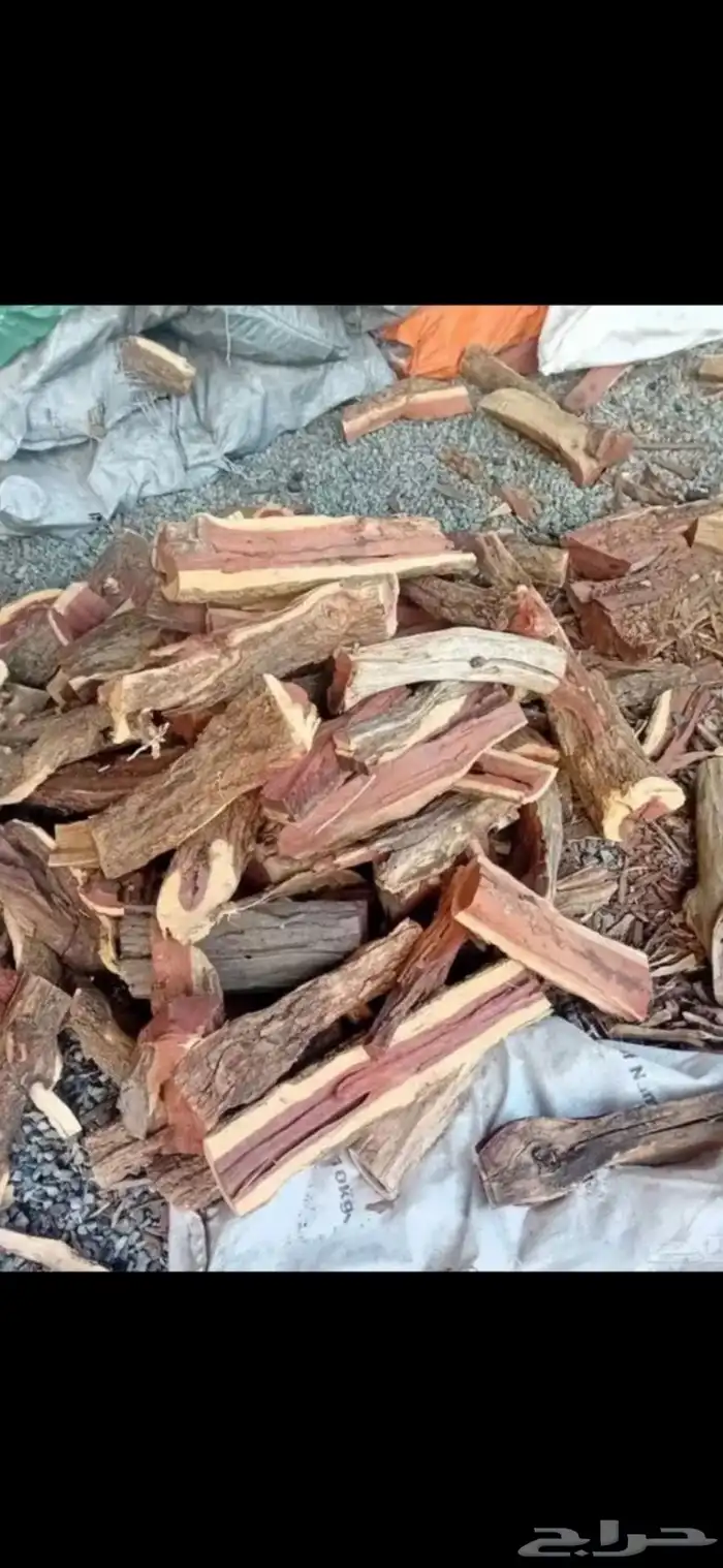 حطب سمر مستورد افريقي ف الرياض 2