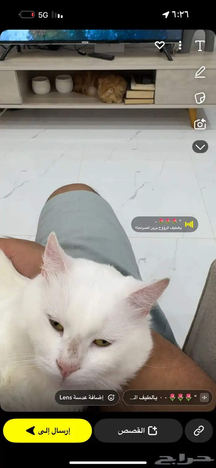 بس ذكر العمر سنتين الاسم   سكر 0