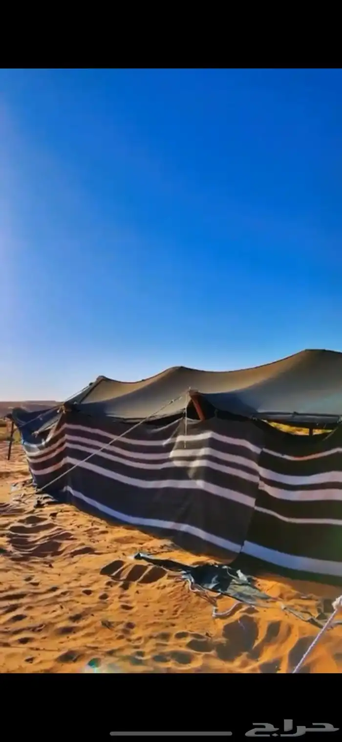 بيت شعر اعمده خشب مقورن 6 11  تم البيع 0