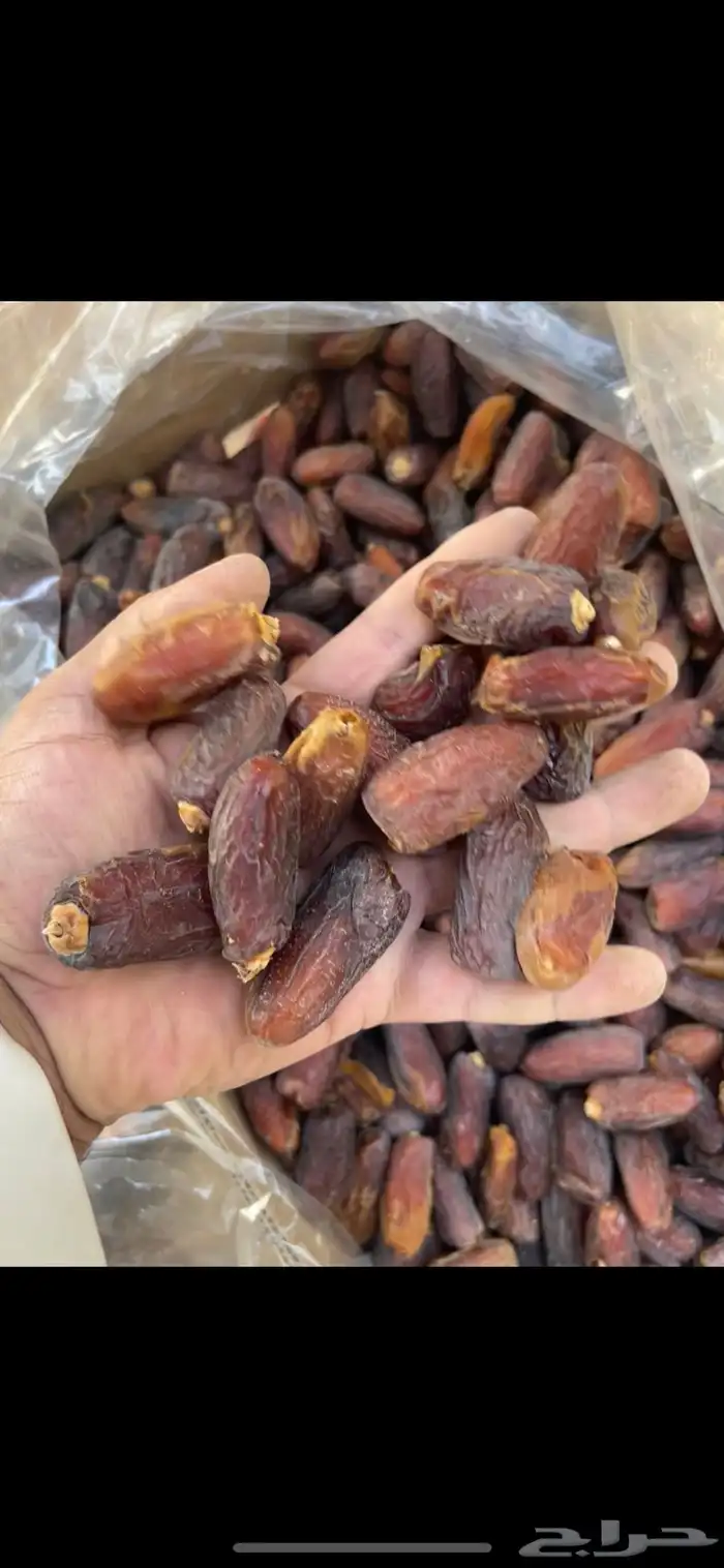 تمر خلاص ومشكلات 13