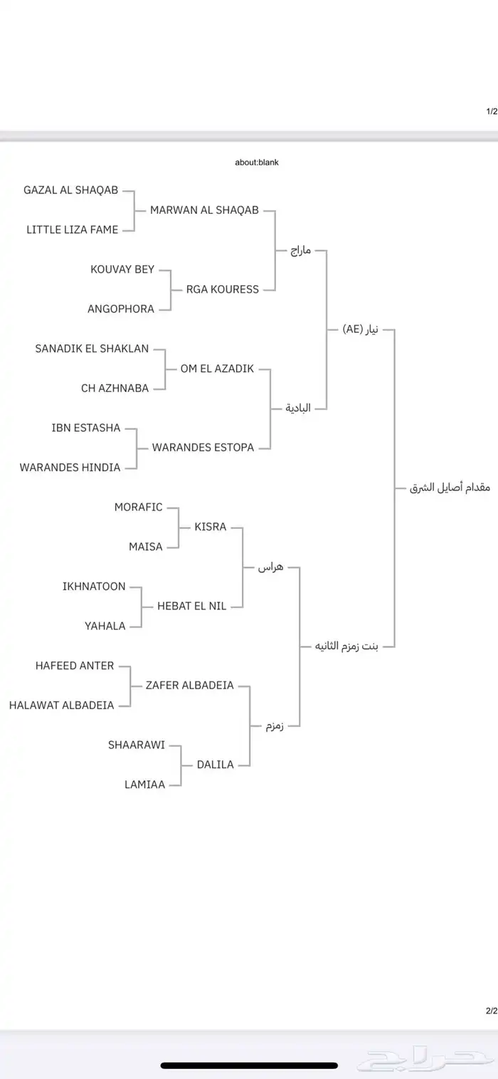 مهر واهو بوراق 1