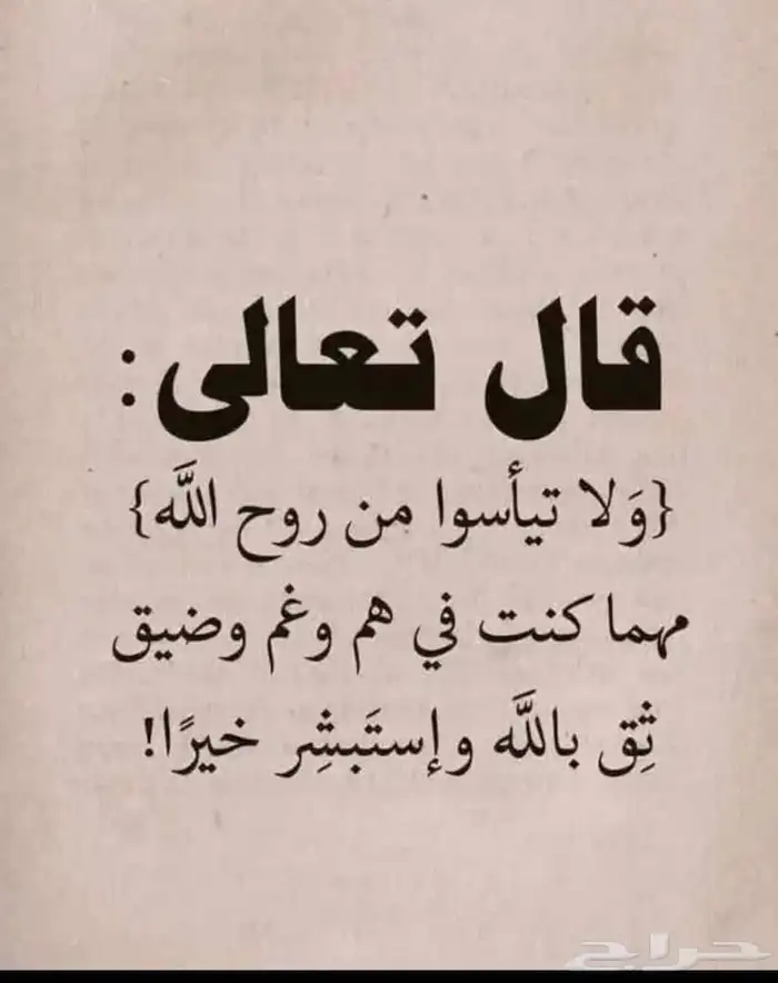 احتاج شقة للإيجار غرفتين 0