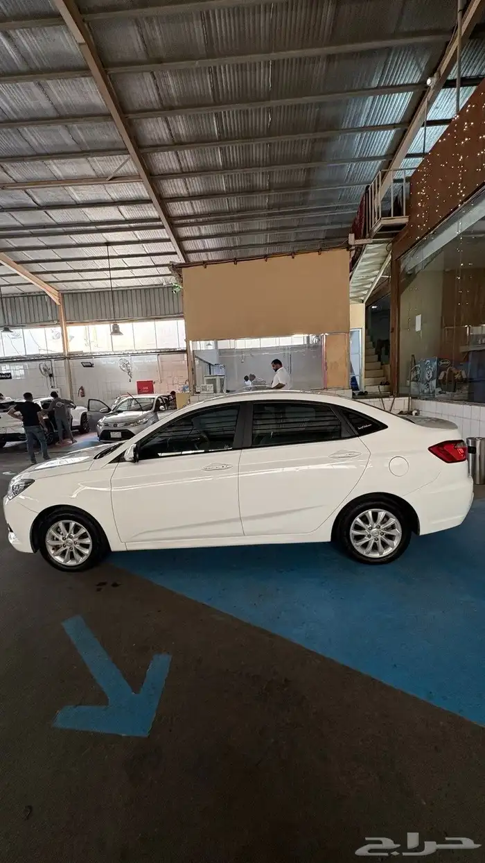 شانجان السفن 2020 13