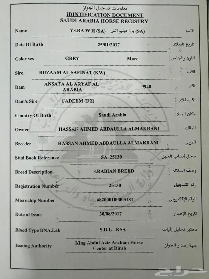 فرس واهو فاااخره 8