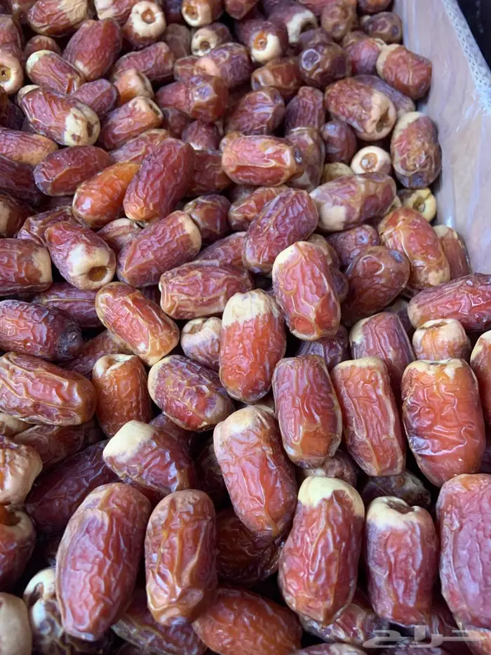 تمر صقعي درجة اولى فاخر 0