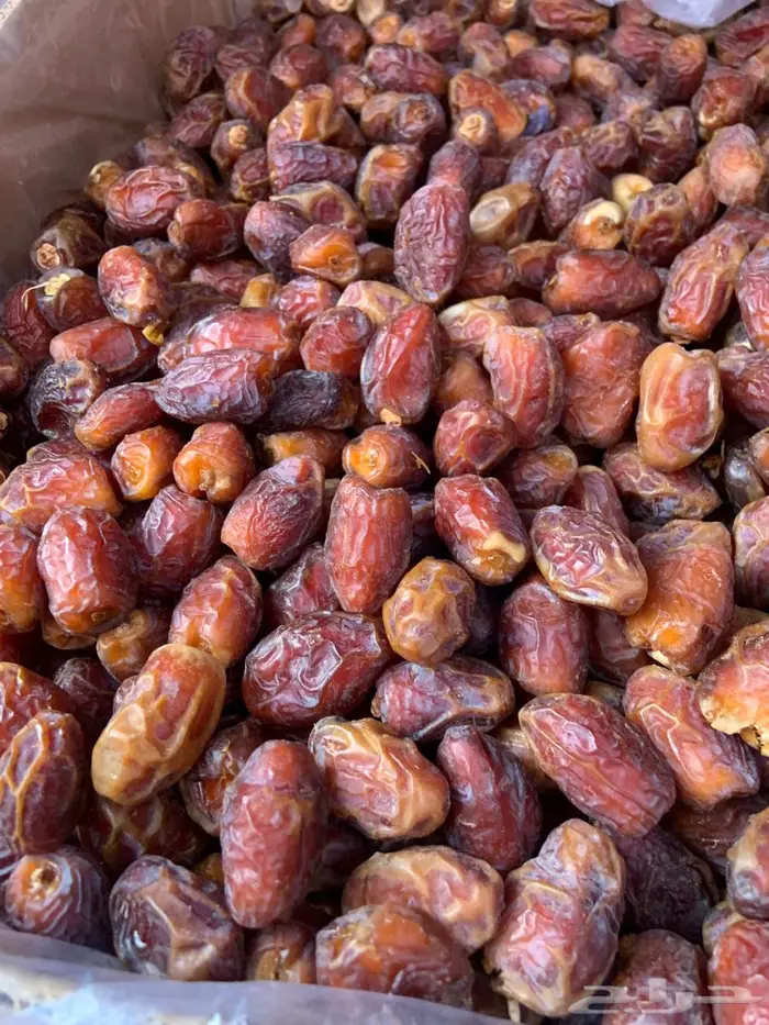 تمر منيفي طيب خام بسعر مميز 0