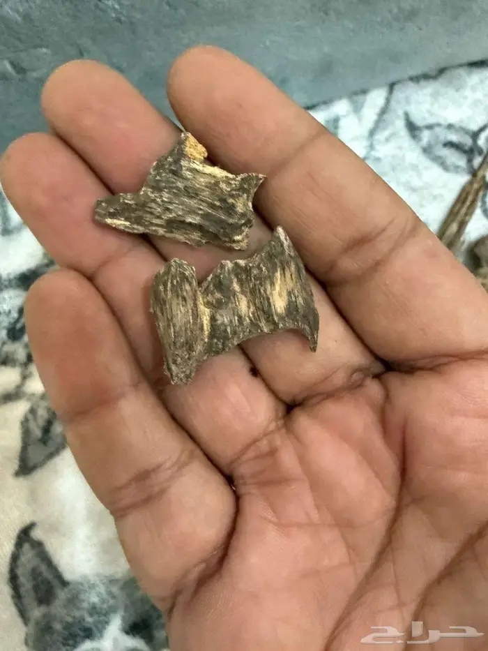 عود هندي جبلي 0
