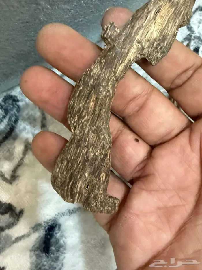 عود هندي جبلي 4