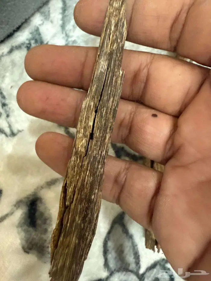 عود هندي جبلي 7