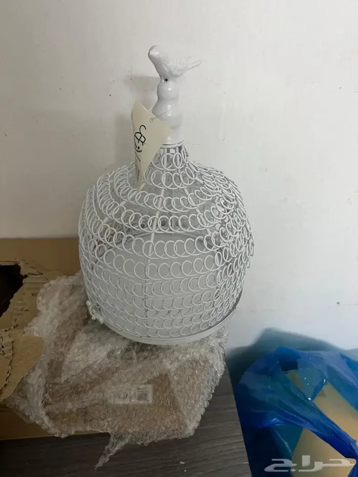 4 شبك جديده ب الكرتون عصافير صغير على اليوم 1