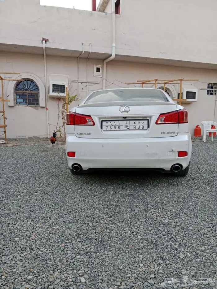 لكزس is ارنوبة 2013 2