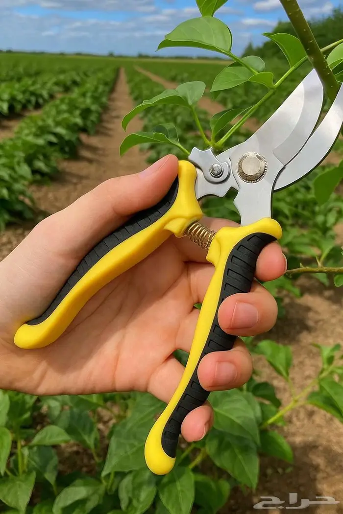 مقص بساتين و حدائق 1