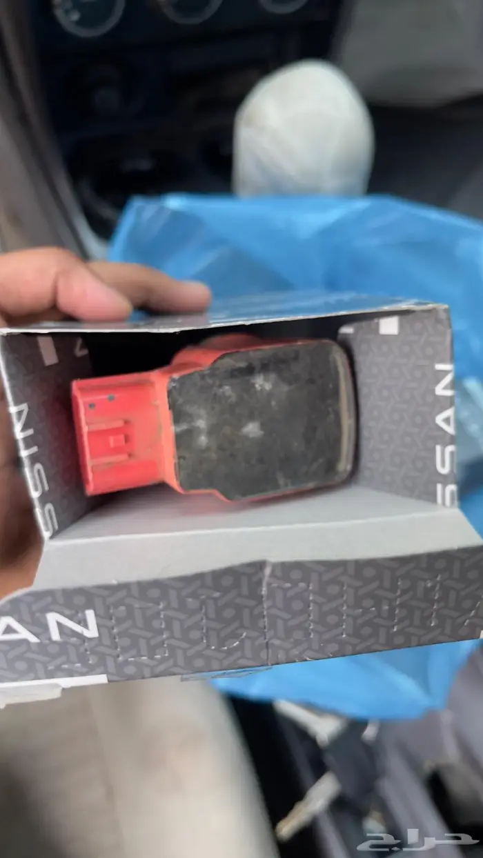 كويل صني 2009 كوري 1